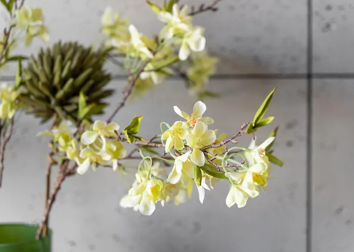 Lejlighed Park Old Town By Renters